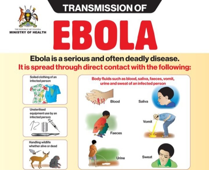 UAE eggyewo ekkoligo lyeyali yateeka ku Uganda - olw'ekirwadde kya Ebola