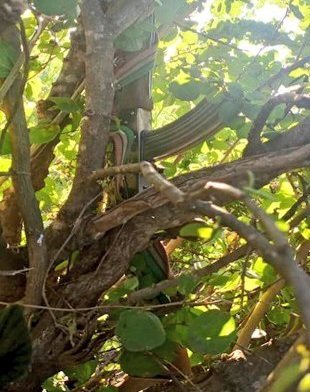 Ettaka erikaayanirwa wakati wa district ye Kaabong ne Kotido lyandisajjula embeera mu Kalamoja – kawefube w’okuggya emmundu ku bantu yaaliwo