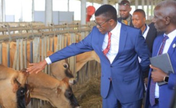Katikkiro Mayiga alambudde ebifo ebinoonyereza ku bulimi n’obulunzi – akubirizza abantu okwettanira okukolera awafunda