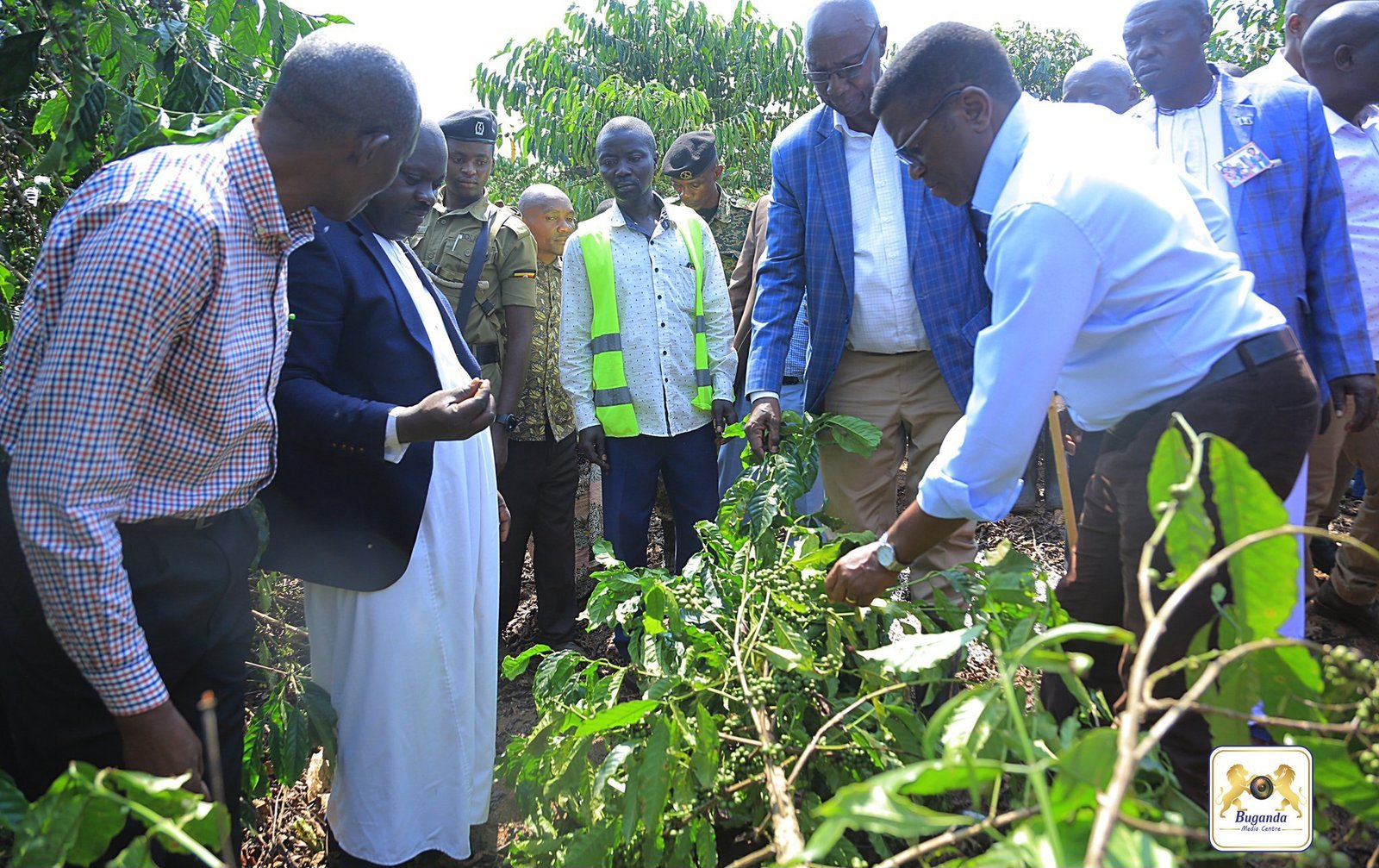 Katikkiro Mayiga atongozza Omwaka A 2024 ogw’emmwanyi Terimba