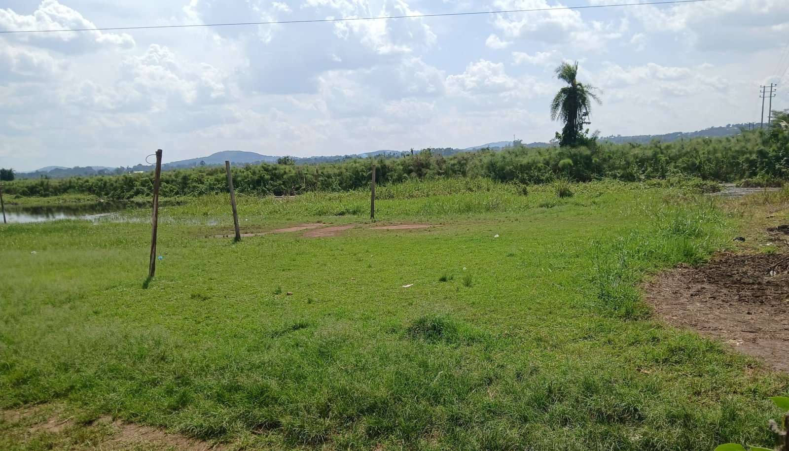 Olutalo lw’okutaasa obutonde bw’ensi – ba ssentebe b’ebyalo balabuddwa ku ky’okuteeka emikono ndagaano z’okugula ettaka eriri mu ntobazi n’ebibira