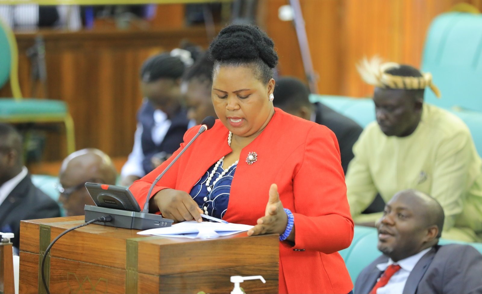 Parliament eyisizza etteeka eppya ku bibira – NFA eggyiddwawo