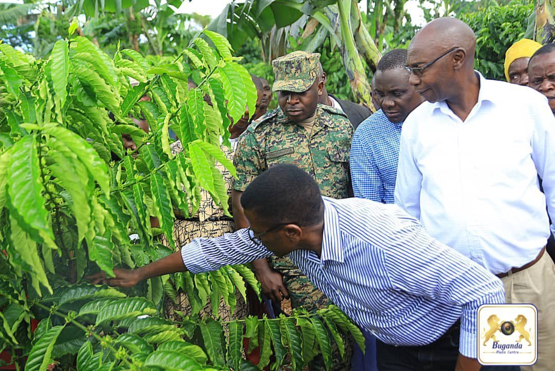 Temuggwamu ssuubi era temuyimiriza kulima mmwanyi – Katikkiro Mayiga