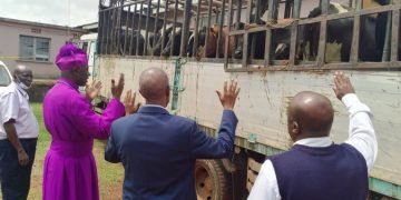 Ekkanisa ya Uganda eweereddwa ente okwekulakulanya – ziweze 119