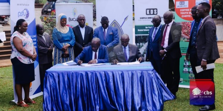 Buganda ekoze omukago ne Kampala Domestic Stores – okutendeka abavubuka emirimu egikwata ku mmwanyi