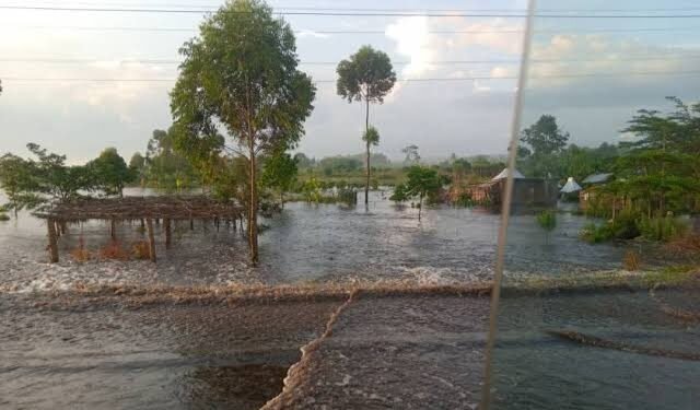 Wetiiye zitandise okuyiikuula olutindo olwabomose ku Katonga