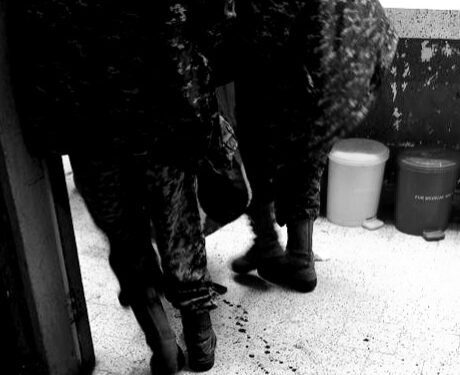 Bwera hospital terina musaayi – abayizi 2 ababadde batwaliddwayo bafudde