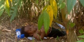 Omwana abadde abbiddwa e Mubende asangiddwa ku ttale