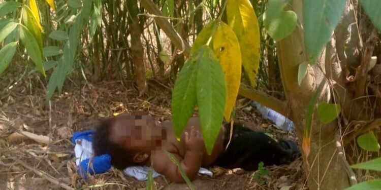 Omwana abadde abbiddwa e Mubende asangiddwa ku ttale