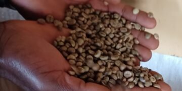 Abakulembeze ba Africa begasse wamu ku nsonga y’okusitula omutindo gw’emmwanyi – bagenda kutuula mu Uganda