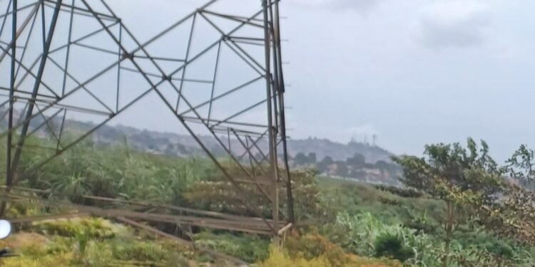 Abakulu b’e kika e Pakwach batabuse lwa ttaka – government eritwala kulimirako muceere