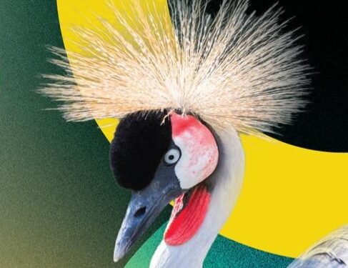 Ameefuga ga Uganda ag’omulundi ogwe 61 – abantu 41 bebagenda okuweebwa emidaali