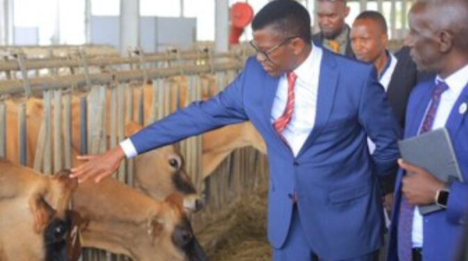 Katikkiro Mayiga alambudde ebifo ebinoonyereza ku bulimi n’obulunzi – akubirizza abantu okwettanira okukolera awafunda