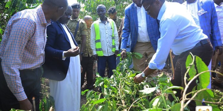 Katikkiro Mayiga atongozza Omwaka A 2024 ogw’emmwanyi Terimba