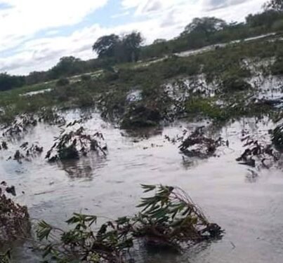 Enkuba egoyezza Bunjakko ne Muduuma – ebirime bikulugguse