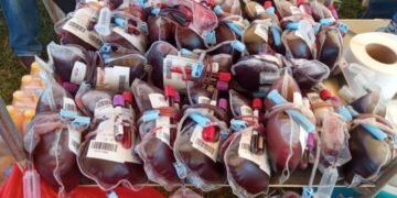 Abakugu mu by’okukuꞃaanya omusaayi mu Africa batudde mu Uganda okukubaganya ebirowoozo ku bbula ly’omusaayi