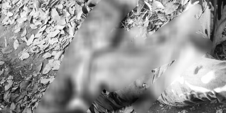 Envubu erumyerumye abantu e Rakai – omu emusse