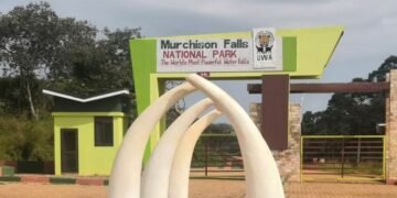 Emmotoka zonna ezaalagiddwa okuyita mu kkuumiro ly’ebisolo erya Murchison falls National park  ziteekeddwako obukwakkulizo – zirina kutambula misana wokka