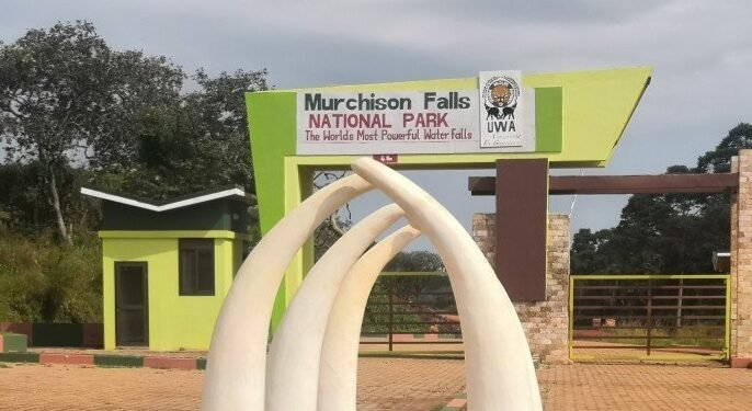 Emmotoka zonna ezaalagiddwa okuyita mu kkuumiro ly’ebisolo erya Murchison falls National park  ziteekeddwako obukwakkulizo – zirina kutambula misana wokka