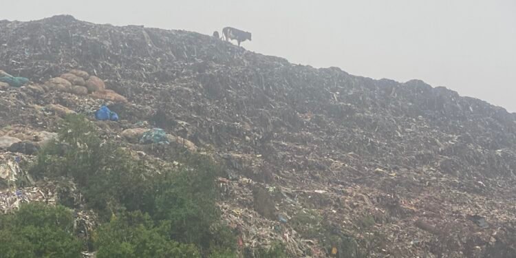 Emirambo 7 gikyabuliddwako ab’oluganda – ku bantu 21 abaabuutikiddwa kasasiro e Kiteezi