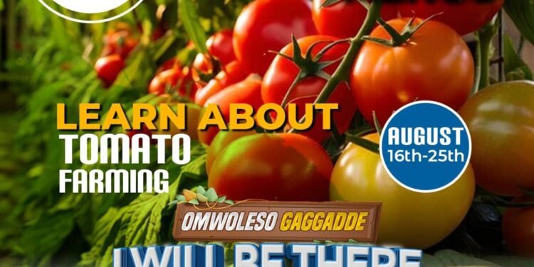 Omwoleso gwa Buganda Omwoleso Gaggadde gutandise mu Lubiri e Mengo