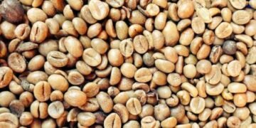 Emmwanyi zongedde okuleebya eby’amaguzi ebireetera Uganda ensimbi