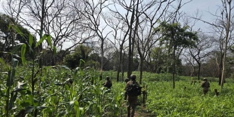 UPDF ne bannamukago bongedde okufuuza abayeekera ba Joseph Kony – enkambi 3 baziteekedde omuliro