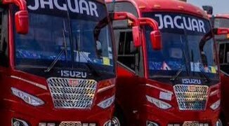 Ministry y’ebyentambula mu Uganda eyimirizza bus za Jaguar okumala ennaku 10 zisooke zinoonyerezebweko