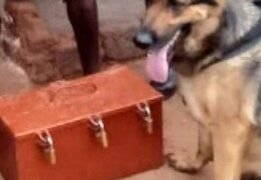 Ababadde babbye akabokisi ka sente e Nakaseke – police ebakutte kakyabalemye okusumulula