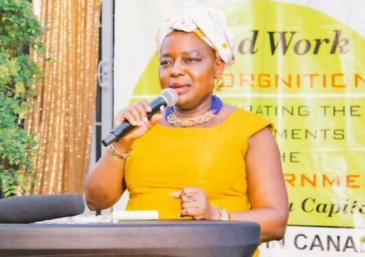 Okunoonyereza ku babaka ba Uganda abaagobwa mu mawanga gyebaasindikibwa kuwedde – ensonga zabwe zijulidde wa president Museven