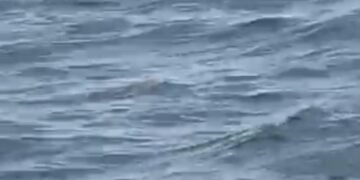 Police etandise okunoonyereza ku ngeri abaagalana 2 bwebaagudde mu nnyanja nebafiiramu Entebbe