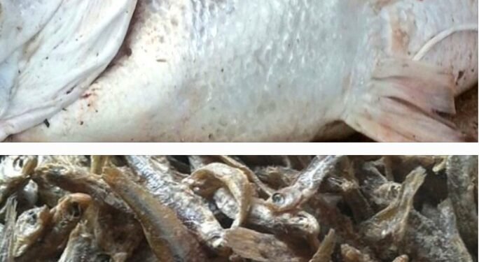 Eby’obufuzi ebyetobese mu mulimu gw’obuvubi – by’ongedde okutabula abavubi b’Empuuta n’abavuba mukene e Ssese