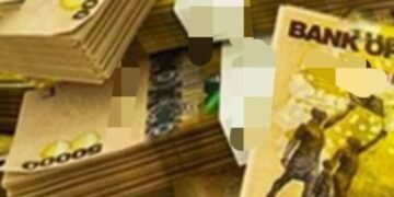 Government eggye amasinzizo n’ebitongole by’obwannakyewa – ku lukalala lw’ebifo ebiyinza okukusibwamu ensimbi ezivujjirira obutujju