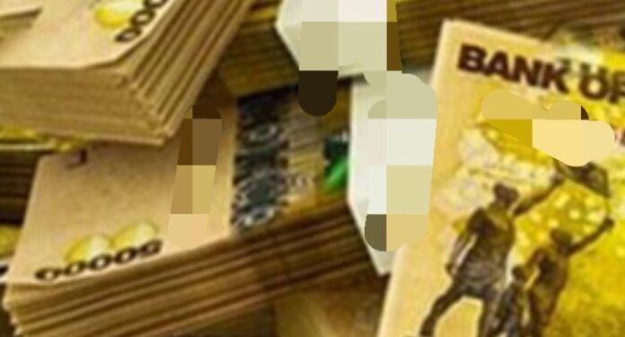 Government eggye amasinzizo n’ebitongole by’obwannakyewa – ku lukalala lw’ebifo ebiyinza okukusibwamu ensimbi ezivujjirira obutujju