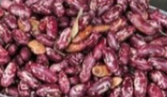 Bannakyewa basitukiddemu okusitula omutindo gw’ensigo mu Uganda