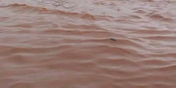 Omwana eyatwalibwa amataba e Ggangu Makindye Ssaabagabo akyabuze