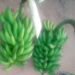Emiwendo gy’ebbeeyi y’emmere gibadde waggulu mu April,2025 bw’ogeraageranya n’emyezi egyasooka – UBOS Report