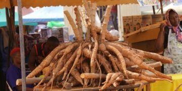 Mu mwoleso gwa CBS Pewosa Nsindikanjake – abavubuka baweereddwa enkizo okusomesebwa ku nkozesa y’ettaka n’obwegassi