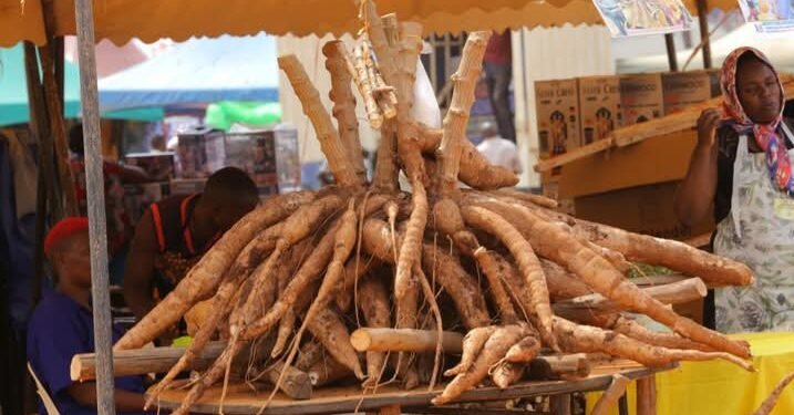 Mu mwoleso gwa CBS Pewosa Nsindikanjake – abavubuka baweereddwa enkizo okusomesebwa ku nkozesa y’ettaka n’obwegassi