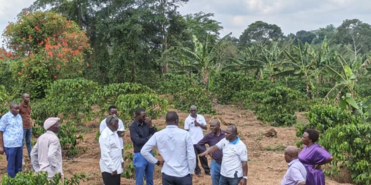 Abalimi e Bukomansimbi bawaanjagidde government okwongera amaanyi mu nkola y’okuyambako abalimi mu by’okufukirira ebirime okuyita mu nkola ya Micro Scale Irrigation