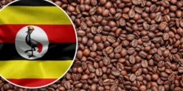 Uganda ng’ekolagana ne Saudi Arabia zigenda kuzimba ekkolero e Luweero eryongera omutindo ku mmwanyi  – lyakuwemmenta obuwumbi bwa shs obusoba mu 574