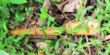 Police ezudde emmundu eyabbibwa ku mukuumi wa Stabex e Matugga