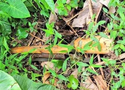 Police ezudde emmundu eyabbibwa ku mukuumi wa Stabex e Matugga