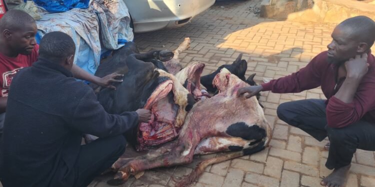 Police ekutte abantu 3 mu Kampala- bakwatiddwa n’ennyama y’ente eteeberezebwa okuba ey’ente enzibe