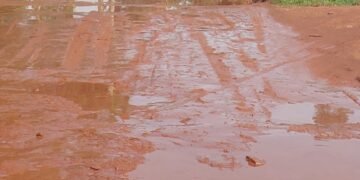 Parliament eyimirizza eby’okuddaabiriza enguudo mu bitundu – sente akawumbi akamu akaweebwa buli district ababaka bagamba nti tebalaba kyezikola