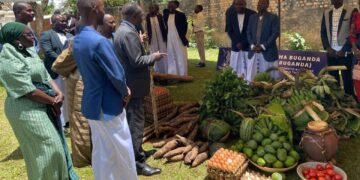 Abasomesa 7 basindikiddwa mu nkomyo omwaka mulamba – basingisiddwa gwakwenyigira mu kubba ebibuuzo bya UNEB