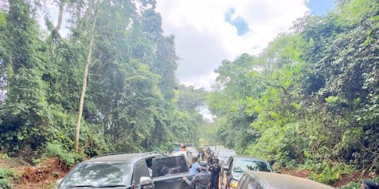 Tewakyali muntu akkirizibwa kusaalimbira mu Bugoma Forest nga ssi mulambuzi – ababadde baakyesenzaako government ebalagidde okukyamuka bunnambiro tewali kubaliyirira