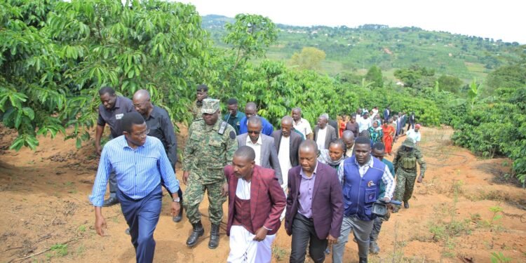 Katikkiro Mayiga abavubuka abasibiridde entanda – abadde alambula abalimi b’emmwanyi mu Buddu mu nkola eya Situla Omutindo
